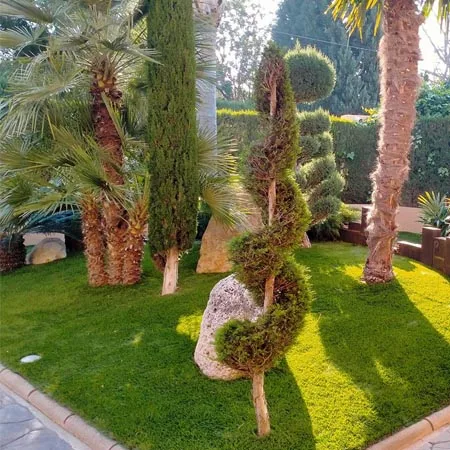 Paisajismo espacio verde