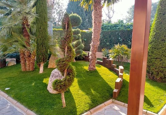 Proyecto espacio verde